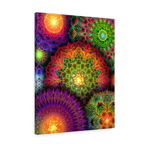 Chromatic Bloom Wrapped Canvas (Use Code:Yantrat For 15% Off