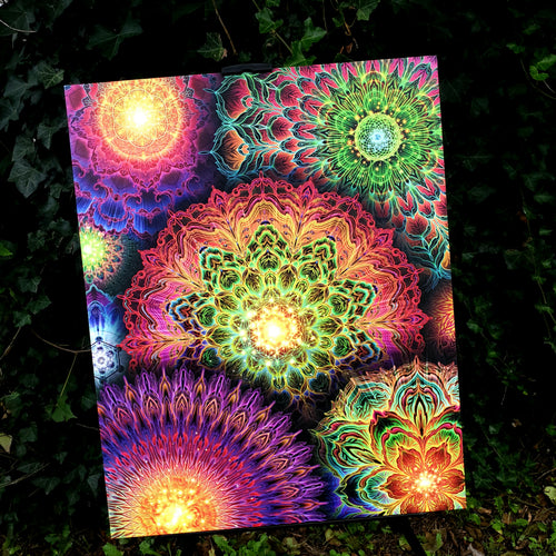 Chromatic Bloom Wrapped Canvas (Use Code:Yantrat For 15% Off